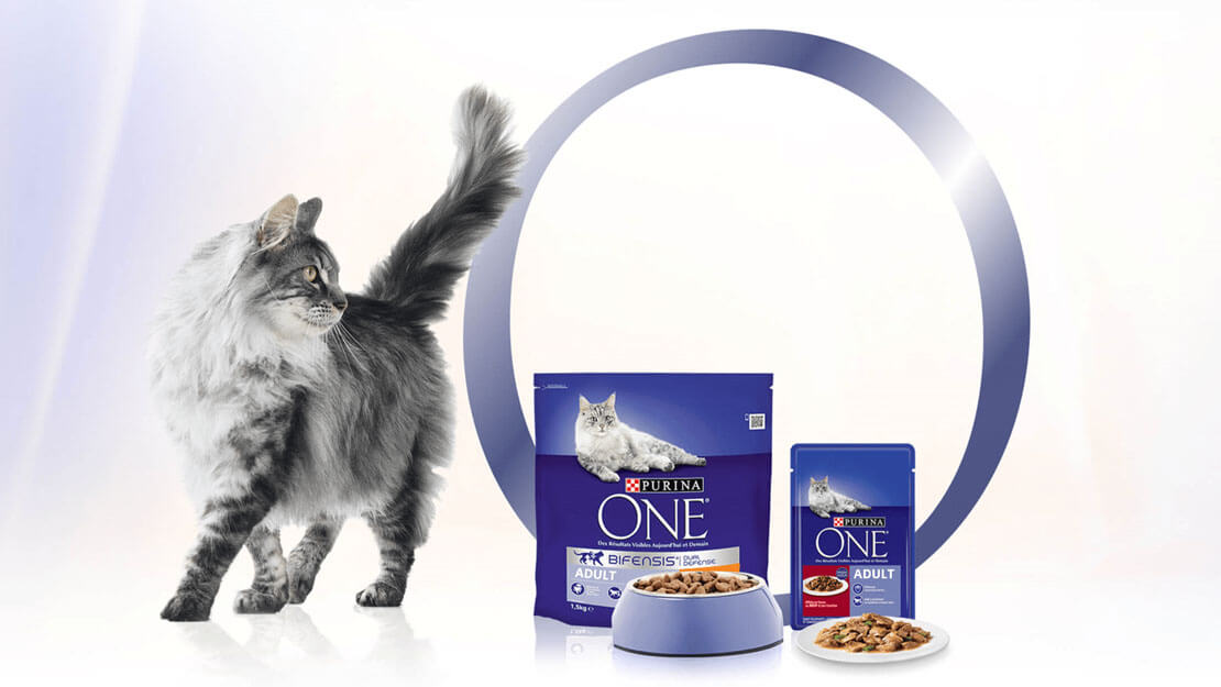 One cat clearance food